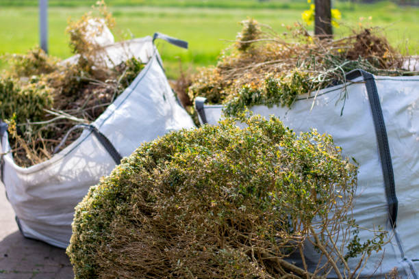 Best Office Junk Removal  in Pima, AZ