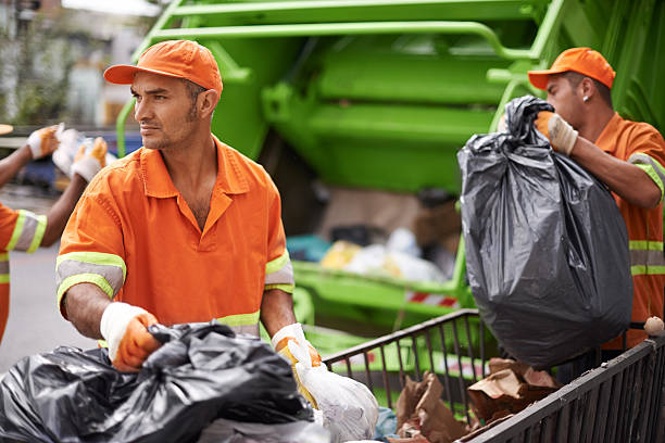 Professional Junk Removal in Pima, AZ